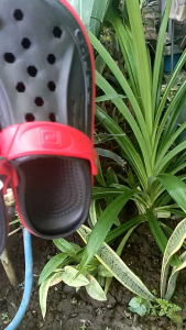 Sandal Baim Dewasa Merek Porto: Desain Ergonomis & Berkualitas Tinggi