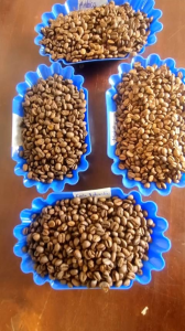 dòng giới thiệu ưu tiên- Vị cà phê rang mộc nguyên chất tỷ lệ 85% Robusta và 15% Arabica) Đậm Đắng Thơm nhẹ nhàng _ coffee Đồi Sim - Bảo Lộc
