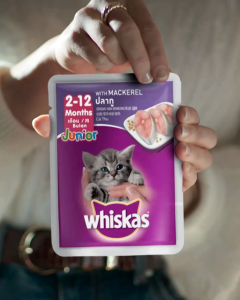 Pouch Whiskas Junior Sachet 80gr ALL Varian Cat Wet Food Kitten Makanan Kucing Basah Wiskas