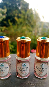 Bibit Parfum Mawar Kraton Murni