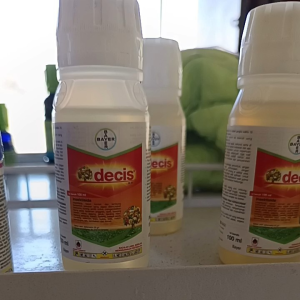 Insektisida Decis 25EC isi bersih 250ml - Bayer