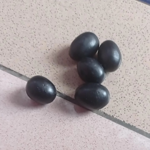 batu koclak berbunyi bulat telur warna hitam