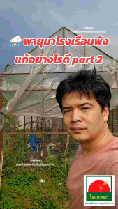 สายรัดโรงเรือน สายรัดสแลน สายรัดพลาสติกโรงเรือน สายรัดพลาสติกคลุมโรงเรือน สายรัดไฟเบอร์ เอนกประสงค์