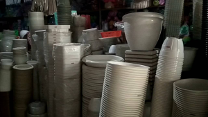 POT TAWON PUTIH 15 CM ISI 12 PICIS LUSINAN
