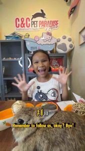 2026 Adjustable Pet’s CNY Chinese New Year festive charm collar for cats dogs and small animals