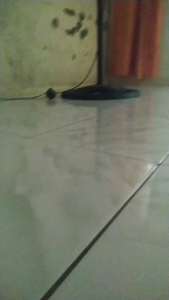 Buyer review video 2