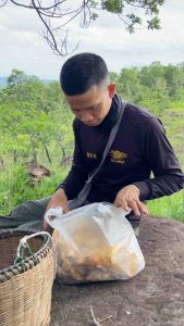 หัวเชื้อเห็ดป่ารวม ขนาด 600 ml l เห็ดคะไค เห็ดกหน้าแหล่ เห็ดหน้าวัว เห็ดถ่านดำขาว เห็ดโครก เห็ดข่า สูตรเข้มข้น แท้100%