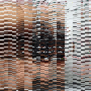 Soket SCU Modul Answer Back & Kabel Socket Kontak Honda