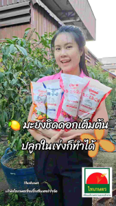 ปุ๋ย ปุ๋ยเคมี ตรากระต่าย ไนโปเฟท เจียไต๋ ขนาด 1 กิโลกรัม ยูเรีย 46-0-0 สูตรเสมอ 16-16-16 ปุ๋ยหวาน บำรุงดอก ผล 9-25-25 และ 13-13-24