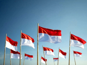 BENDERA MERAH PUTIH BAHAN KATUN POLIMIKRO 120X80 DAN 90X60