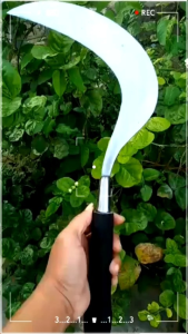 sabit Madura pakai sarung kulit