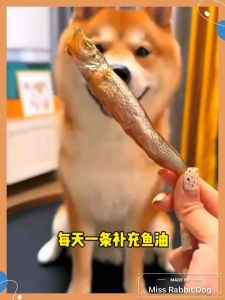 Freeze-Dried Capelin Fish For Pet Dog Cat Snack Food Pet Treats 100g 300g 500g 宠物冻干多春鱼满腹鱼籽狗狗猫咪宠物零食