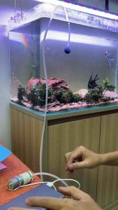 Bộ Sủi Oxy Mini USB 5V – Áp Suất 120kPa – Dùng Sạc Dự Phòng – Cho Hồ Cá Nuôi Tôm Cá Dự Án DIY LK0953