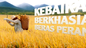 NESTUM Grains & More 3 in 1 Brown Rice Sereal Malaysia (10 sachet)