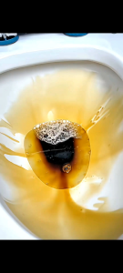 SukGarden Toilet Cleaner/Sunshine Pine Toilet Cleaner/Toilet Disinfectant Deodorizer Scale&Stain Remover Long-lasting Wall Cling Pine-scented Toilet Cleaning