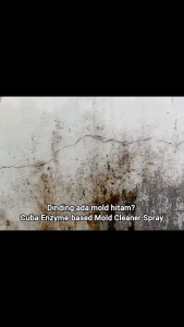 Black Mold Remover Spray Cleaner 5 Minutes Quick Remove 500ml Wall Ceiling Tile Wallpaper Anti Mold Bacteria Fungus Enzyme Mildew