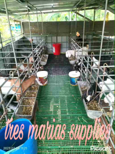 2x4 goatpigdog matting...  plastic matting 2x4.... PER PIECE heavy duty  2x4 plastic matting...