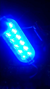 1 renteng 10pcs LED 12 mata KEDIP otomatis 12-24 volt