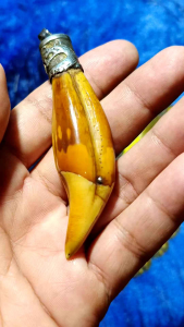 TARING BERUANG IKAT PERAK UKIR NAGA SUPER LANGKA POWER ISTIMEWA