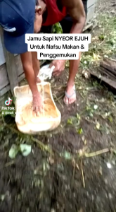 JAMU SAPI NYEOR EJUH EXTRA GULA PENGGEMUK SAPI VITAMIN SAPI