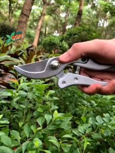 Alat Bonsai & Berkebun Gunting Dahan Classic Green Scissors SK5 - 21 cm