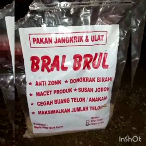BRAL BRUL pakan khusus burung murai indukan