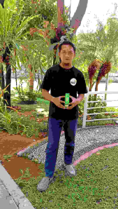 Susu Kambing Etawa NAGA SP Kemasan Sachet isi 6 25gr 150gr