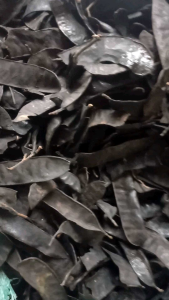 Bồ kết rừng khô 1kg