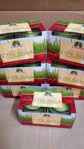 Liwanag Nosquito Candle (S#261) Anti Mosquito Citronella Scent Sold Per Box 2 Pieces in box Candle in Glass Insects Repellant Candle