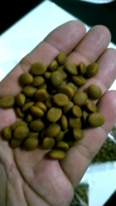 Rc Persian Adult Repack 1kg ORIGINAL SORTIRAN PABRIK