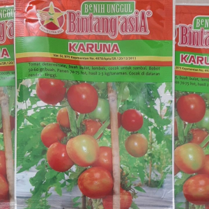 Benih Tomat KARUNA 10 Gr - Bibit Tomat Sambal | PUNDI REJEKI | PRJ |