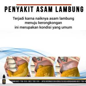 Haseda Herbal Ekstrak Buah dan Sayuran Kemasan Family Free Gelas Special