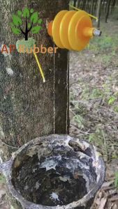 ชุดทดลองเจาะยางพารา 100 ชุด/100 ต้น ไม่มีรั่วซึม รับประกันทุกตัว