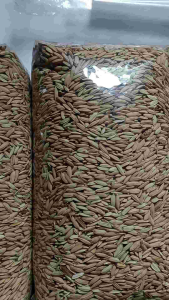 Benih Padi Beras Merah Pulen Harga Ekonomis / Kemasan 1 kg