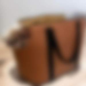 กระเป๋าเดินทางสัตว์เลี้ยง