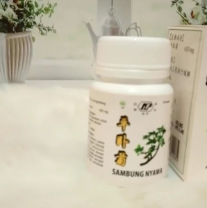 Sambung nyawa kapsul herbal cina wasir