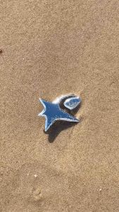 SFC Super Silvery Star Alloy Hair Clip