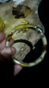 GELANG SAWAN FULL DLINGO BANGLE MINYAK BIDARA RUQYAH PLUS BENANG MAS