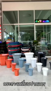 เซตสุดคุ้ม‼️กระถางเหลี่ยมปากแตรและกลมปากแตร(perfectworlds)