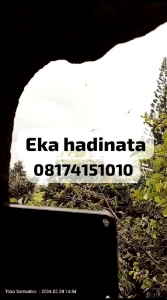 Suara Panggil Walet AKAU RESPON JOSS pemanggil koloni walet