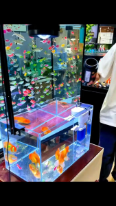 KANDILA FISH TOILET Series FT 800 1200 1500 2000 Internal Filter Pompa Akuarium Kolam Ikan