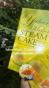 Yubari Melon Cake เค้กรสเมล่อน ขนมเค้กญี่ปุ่น ของขวัญ ของฝากจากฮอกไกโด เค้กรสเมล่อนญี่ปุ่น เค้กรส เมล่อน - Lazada