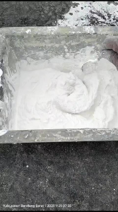 KAPUR SIRIH BASAH 1 KG SUPER PREMIUM | KAPUR SIRIH ASLI KAPUR GAMPING BANYAK MANFAAT