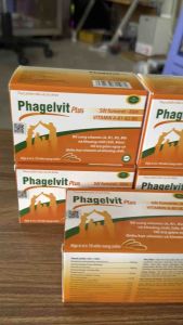Phagelvit hộp 100 viên hộp 60 viên hỗ trợ bổ sung vitamin và khoáng chất cho cơ thể