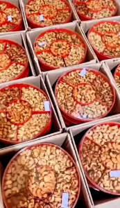 Mente Tray 900gr: Tray Herbal Untuk Kesehatan & Diet