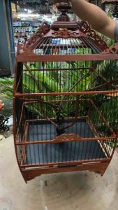 Sangkar burung Jambul (Full Set)