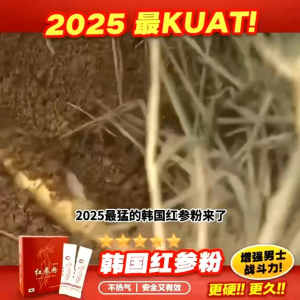 KOREA RED GINSENG 1 BOX 12 SACHETS