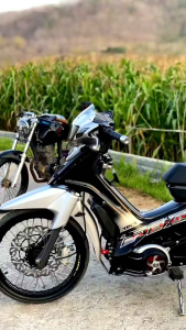 Striping Fiz r Fizr 2001 2002 Full Clutch Silver