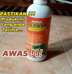 Pupuk Pepaya Booster Pelebat Buah Pupuk Cair Semprot dan Kocor Pupuk Ramah Lingkungan 1Liter