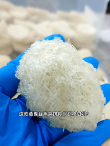 100% Natural Birds Nest 100g | 金丝燕 / 燕条囊丝燕饼 / 燕窝 / 燕饼 / 燕窝炖品 / 燕窝礼盒 丨Tulen Sarang Burung / Sarang Burung / Bird Nest / Yan Bing